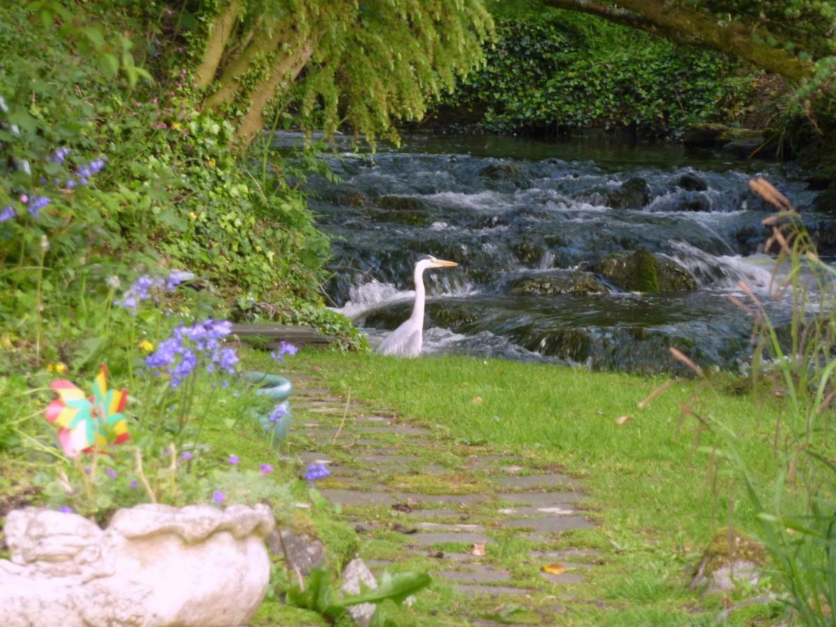Yr Hen Felin - The Old Mill B&B Морфа-Нефін Екстер'єр фото
